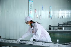 Air activated warmer production line